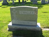 Chicago Ghost Hunters Group investigates Calvary Cemetery (187).JPG